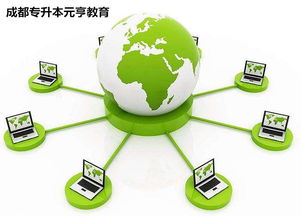 網(wǎng)絡(luò)遠(yuǎn)程技術(shù)教育 時(shí)代趨勢與獨(dú)特優(yōu)勢的融合